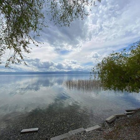 Aqua Blue Apartment Peštani Eksteriør bilde